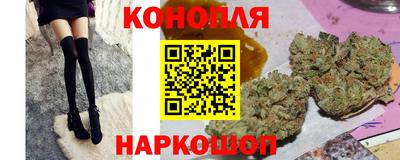 мдпв Нальчик