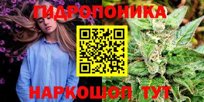 мдпв Нальчик