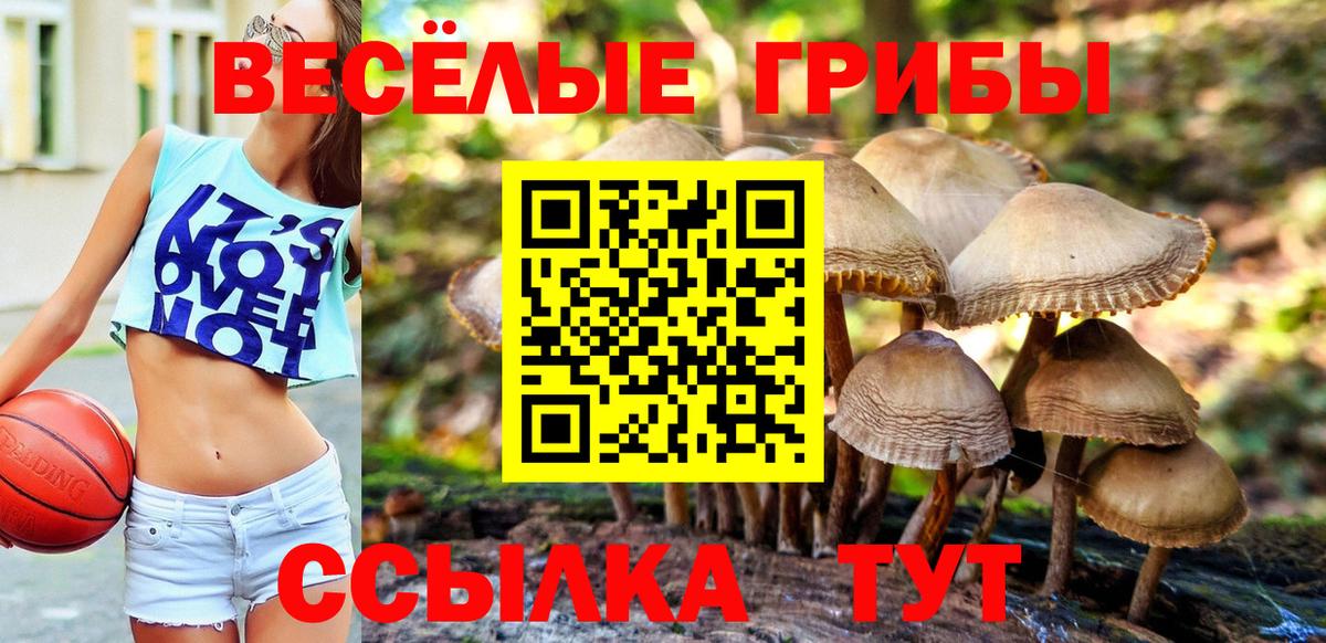 Северск  Псилоцибиновые грибы Cubensis  где найти   Вход с VPN  Псилоцибиновые грибы GOLDEN TEACHER 