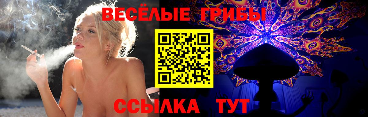 Псилоцибиновые грибы прущие грибы Северск